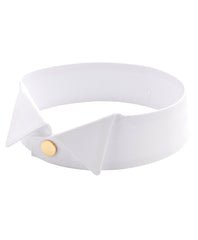 Detachable Collar