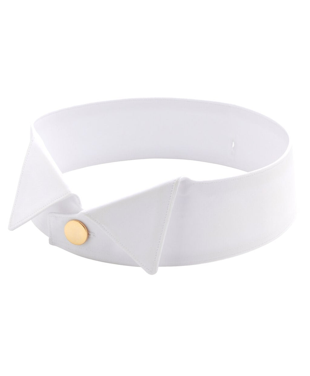 Detachable Collar