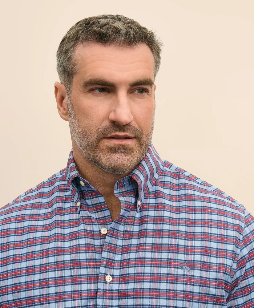 Big & Tall Stretch Cotton Non-Iron Oxford Polo Button Down Collar Royal Stewart Tartan Shirt