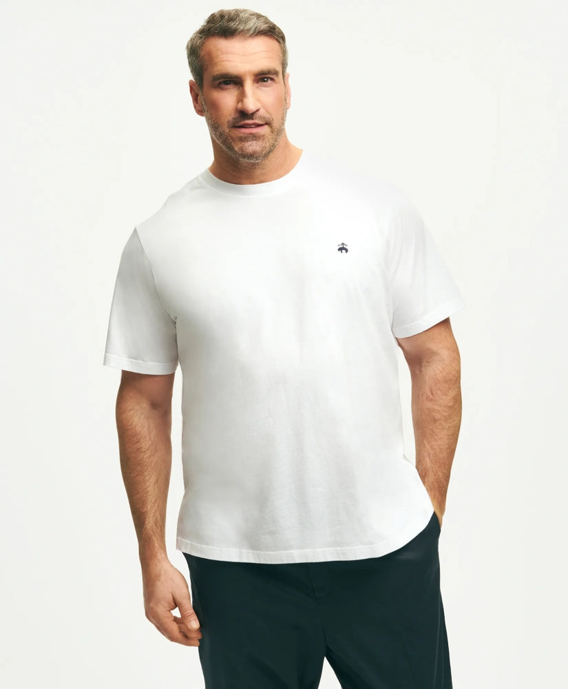 Big & Tall Supima® Cotton T-Shirt