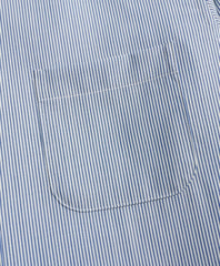 Golden Fleece® BrooksTech™ Regent Fit Striped Sport Shirt