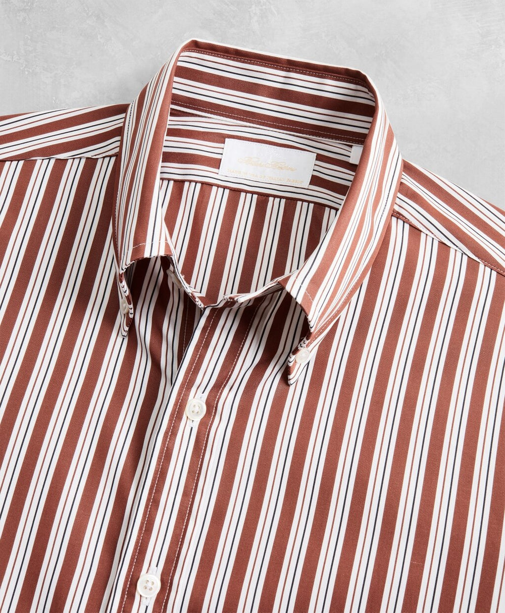 Golden Fleece® Regent Fitted Multi-Stripe Sport Shirt