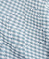 Regent Fitted Sport Shirt, Performance Series with COOLMAX®, Gingham