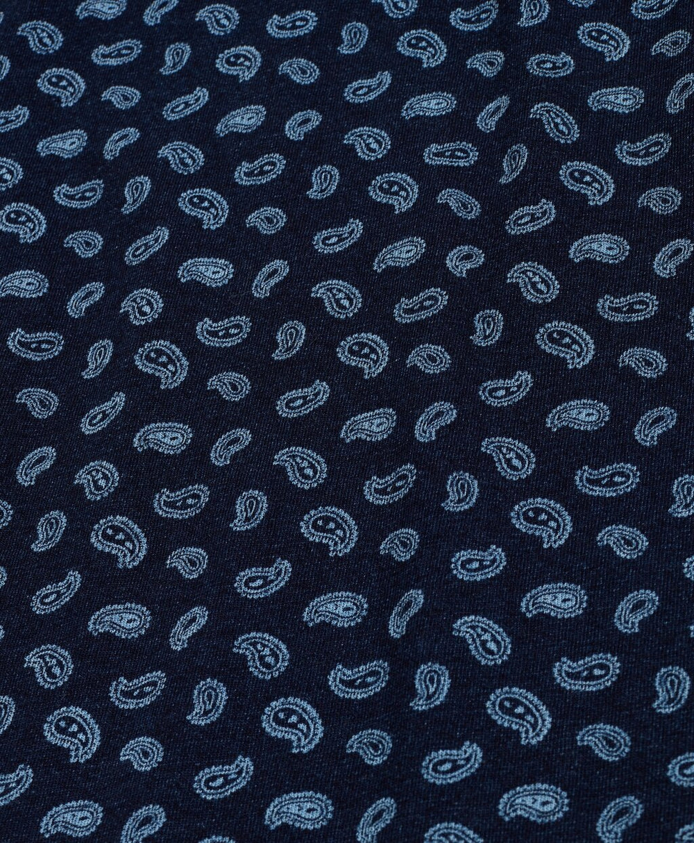 Original Fit Indigo Printed Paisley Polo Shirt