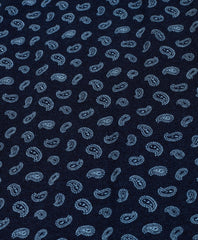 Original Fit Indigo Printed Paisley Polo Shirt