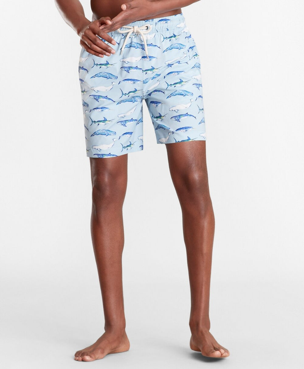 Montauk 6" Whale Print Swim Trunks
