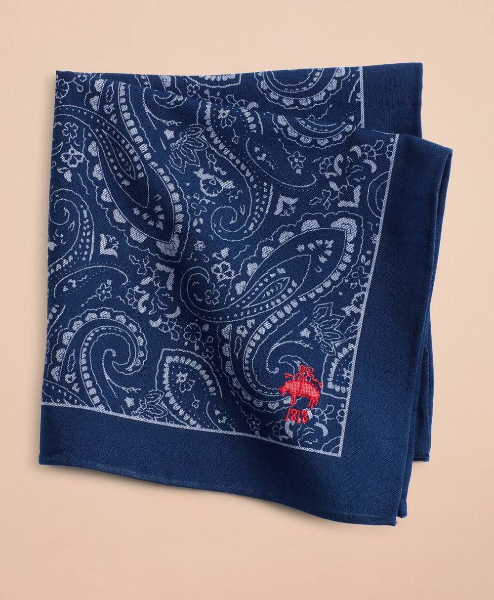 Cotton Paisley Pocket Square