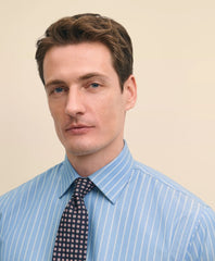 Stretch Supima® Cotton Non-Iron Royal Oxford Ainsley Collar Striped Dress Shirt